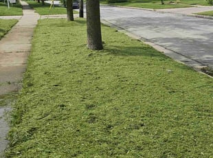 Rebecca L.'s Long Grass Cleanup service result