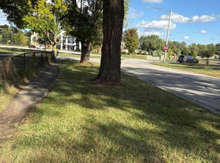 Keena M.'s turf care service result