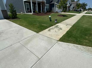 Ishmael V.'s turf maintenance service result