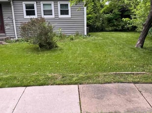 Renee S.'s lawn maintenance service result