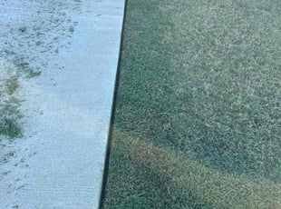 Cathy G.'s turf maintenance service result