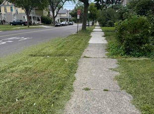 Desiree T.'s turf maintenance service result