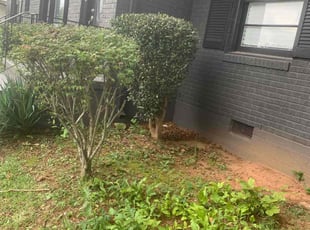 Scott W.'s Bush Trimming service result