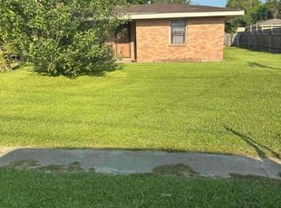 Pamela H.'s turf care service result