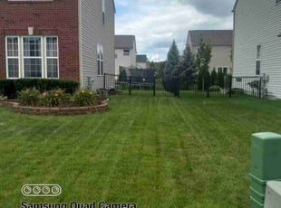 Zoryana H.'s lawn service service result