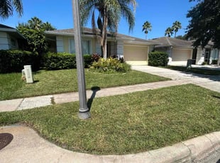 Shawn S.'s turf maintenance service result