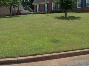 Chrissy D.'s lawn maintenance service result