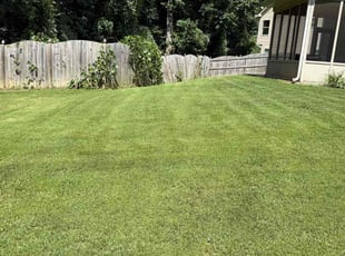 John V.'s yard work service result