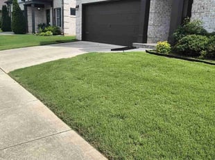 Kimberley G.'s yard maintenance service result