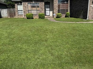 Felix S.'s turf care service result