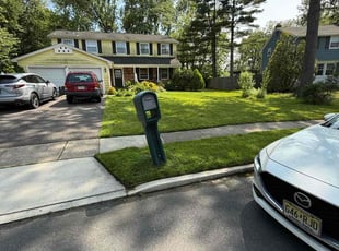 Blake T.'s lawn care services service result