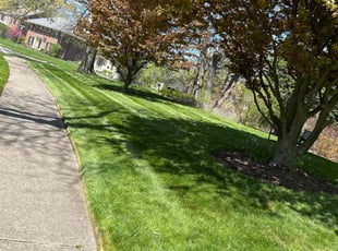 Yvette E.'s turf maintenance service result