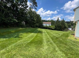 Koushik N.'s grass cutting service result