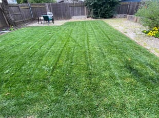 Kathy B.'s lawn care service result
