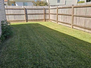 Chris N.'s turf maintenance service result