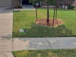 Dan G.'s turf care service result