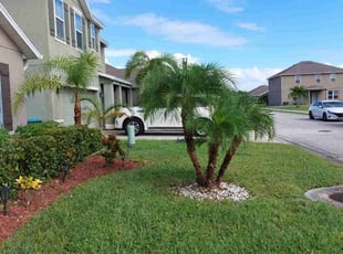 Regina M.'s Bush Trimming service result