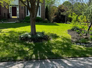 Felecia S.'s lawn maintenance service result