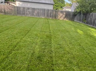 Linda B.'s lawn service service result
