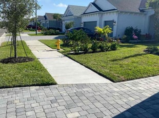 Shiela B.'s grass maintenance service result