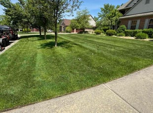 Keith D.'s turf maintenance service result