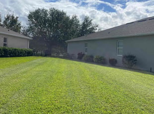 Nicholas H.'s grass cutting service result