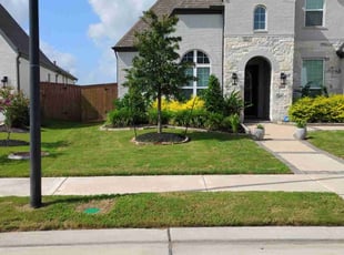 Sonya W.'s turf maintenance service result