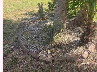 Brad L.'s Weeding service result