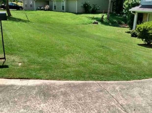 Roopavani R.'s lawn service service result