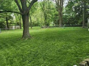 Deanna M.'s turf maintenance service result