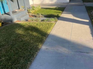 Sarah G.'s lawn service service result