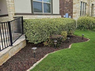 Jane F.'s Bush Trimming service result