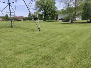Lindsay G.'s grass cutting service result
