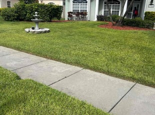 Leslie S.'s turf care service result