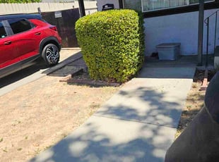 Jesse C.'s Bush Trimming service result