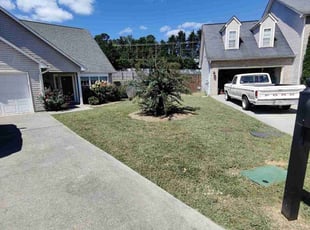 Linda A.'s grass cutting service result