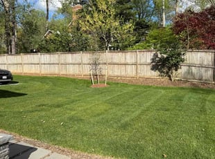 Mandy G.'s lawn maintenance service result