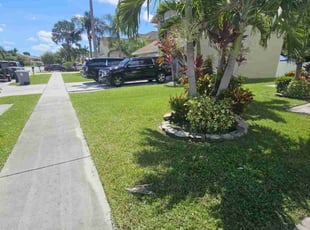 Trenique W.'s lawn care services service result
