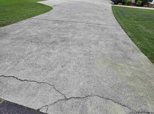 Sedonia B.'s lawn service service result