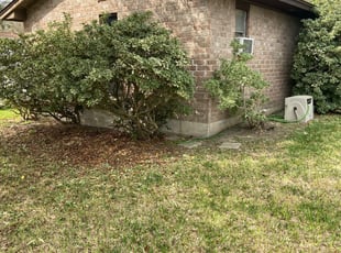 Richard S.'s Bush Trimming service result