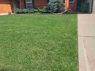 Joe T.'s grass cutting service result