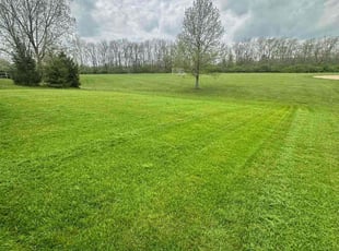 Sung C.'s lawn care service result