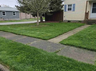 Candia T.'s lawn maintenance service result