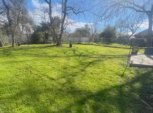 Jeff J.'s grass cutting service result
