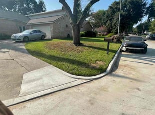 James G.'s turf care service result