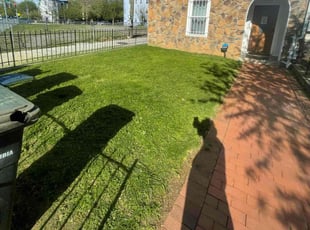 irvin d.'s lawn maintenance service result
