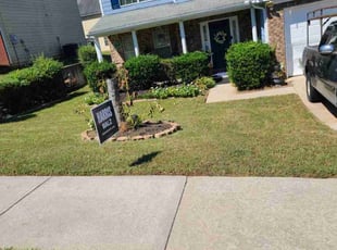 Frances P.'s lawn care services service result