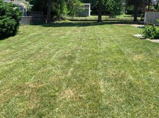 Pat A.'s lawn service service result