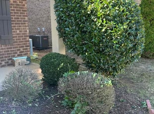 Brent D.'s lawn care service result