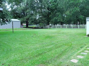Mel B.'s lawn maintenance service result